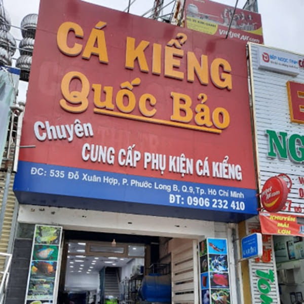 Bảng hiệu cá cảnh mica chữ nổi