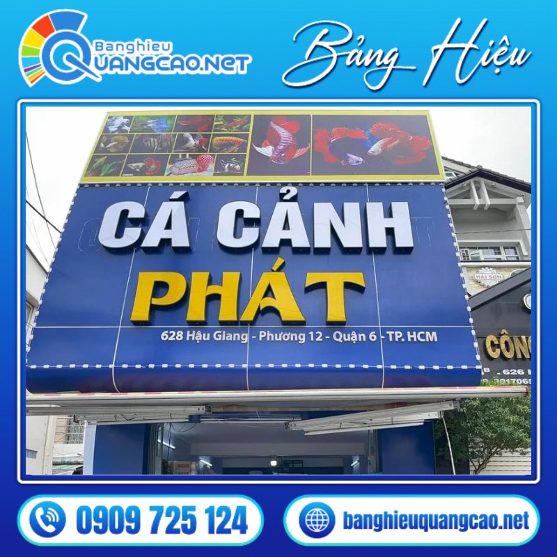 Bảng Hiệu Cá Cảnh