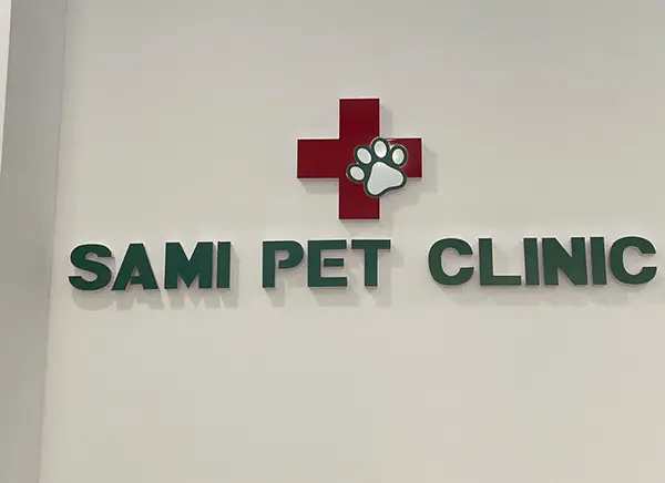 chữ nổi mica dán tường