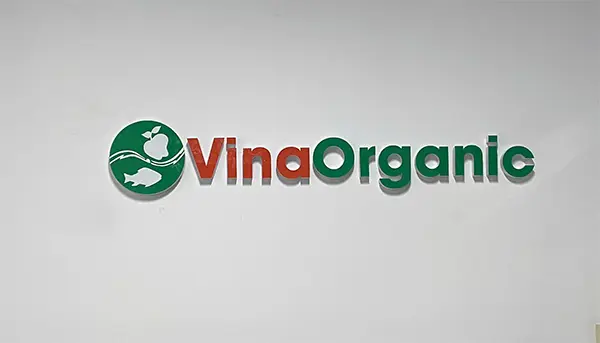 chữ nổi mica dán tường