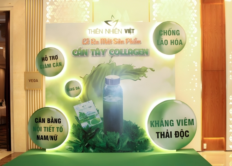 Backdrop lễ ra mắt bạt hiflex
